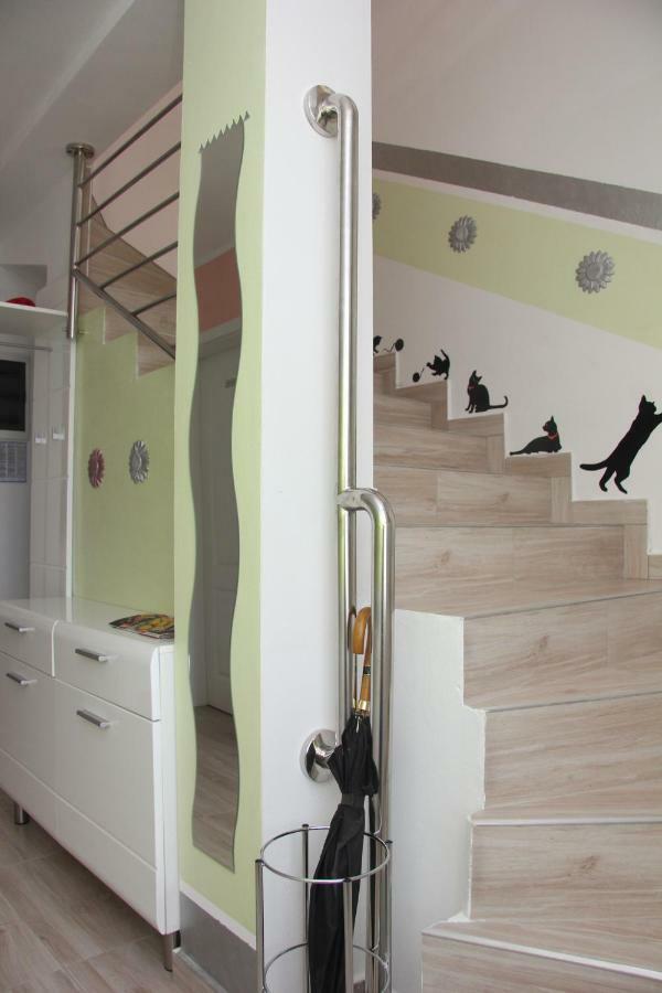 Vacation House "Viola" Fažana Εξωτερικό φωτογραφία